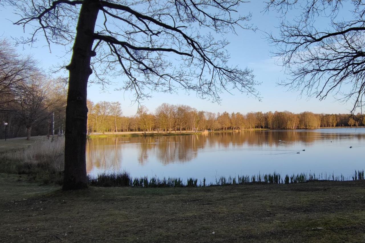Lauwie 14 *
