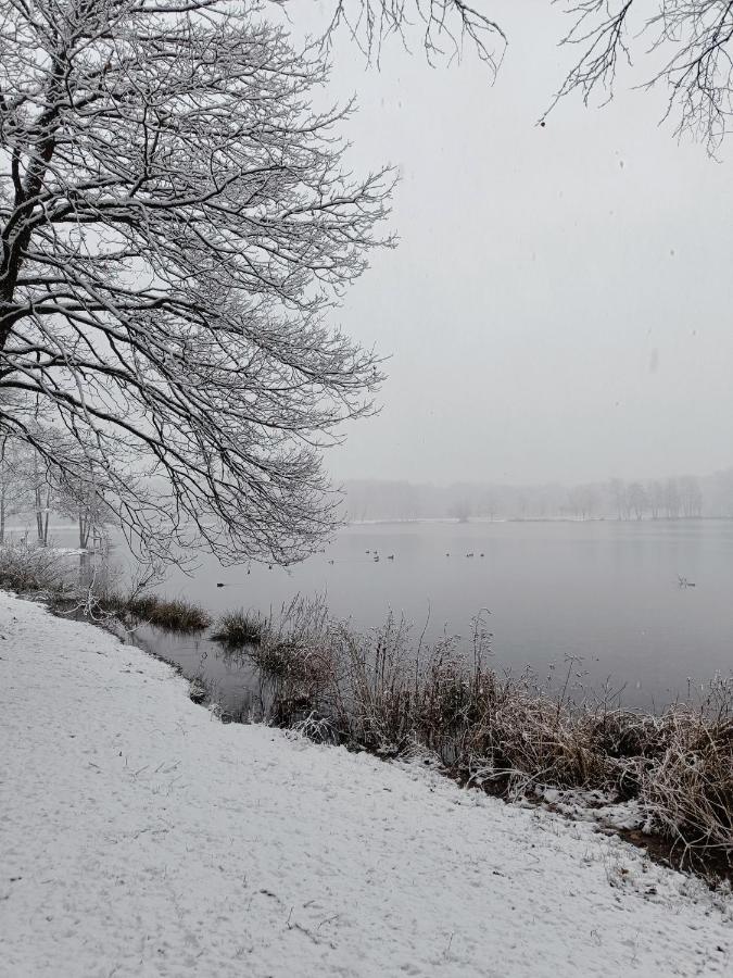 Lauwie 14 *