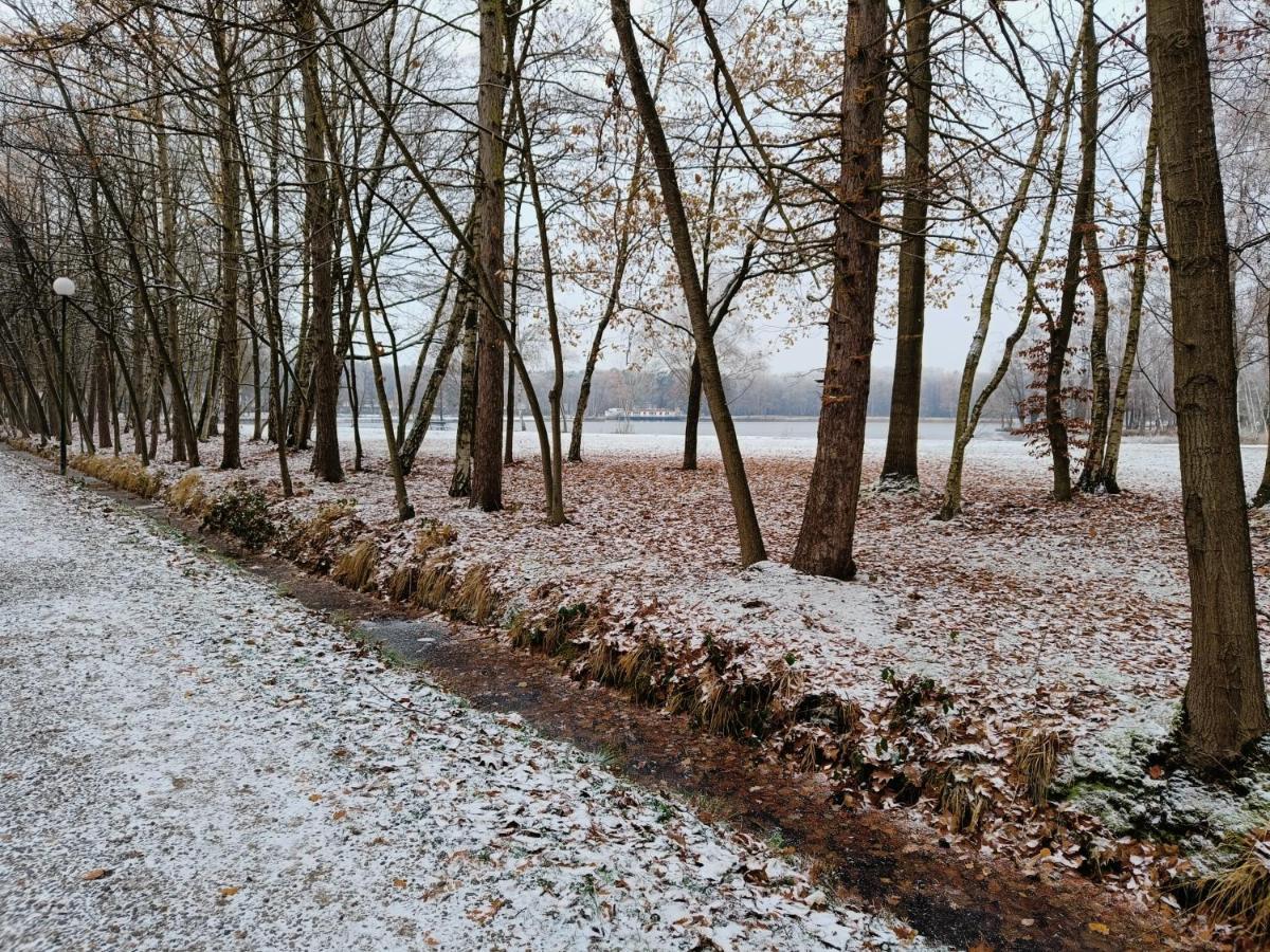 Lauwie 14