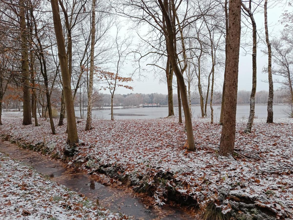 Lauwie 14 * Lanaken