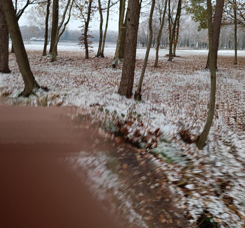 Lauwie 14 Lanaken