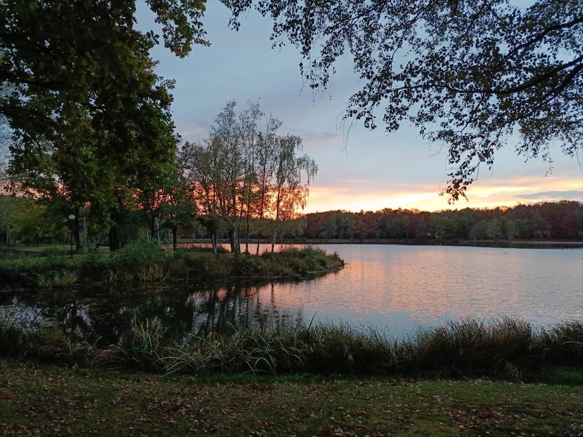 Lauwie 14 Ferienhaus Lanaken