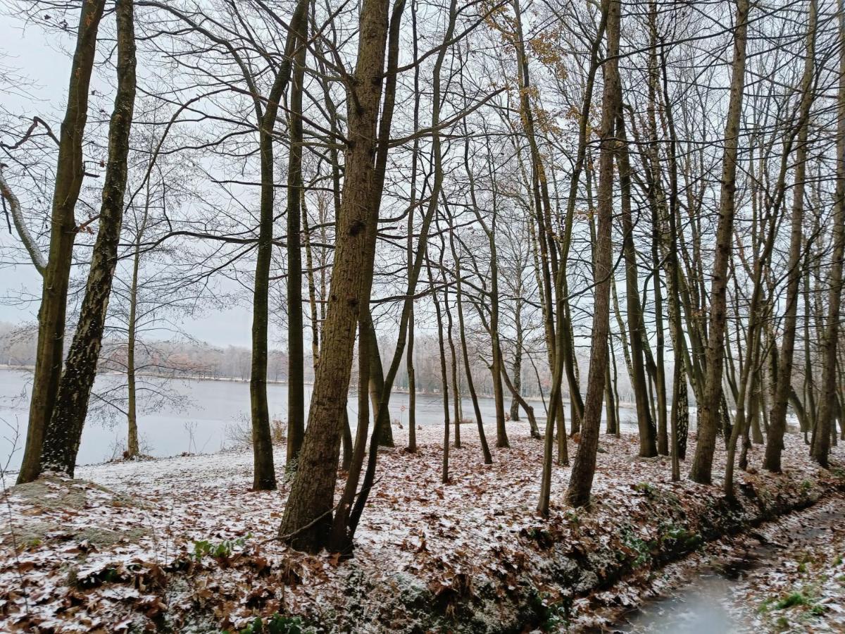 Lauwie 14 * Lanaken