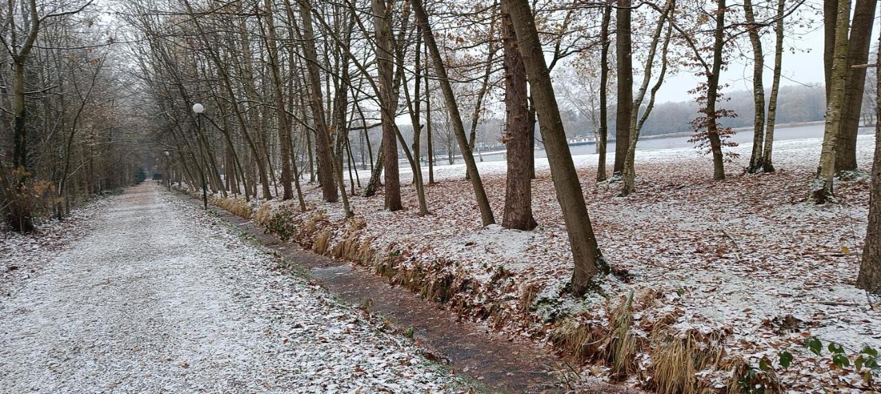 Lauwie 14 Lanaken